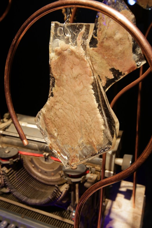 calcolatore di likes 6