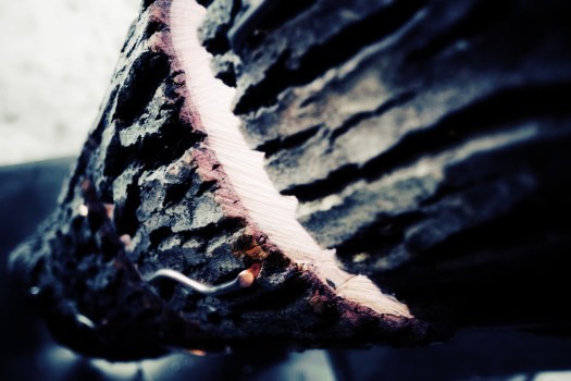 IMG_1368_tronco lungo.jpg